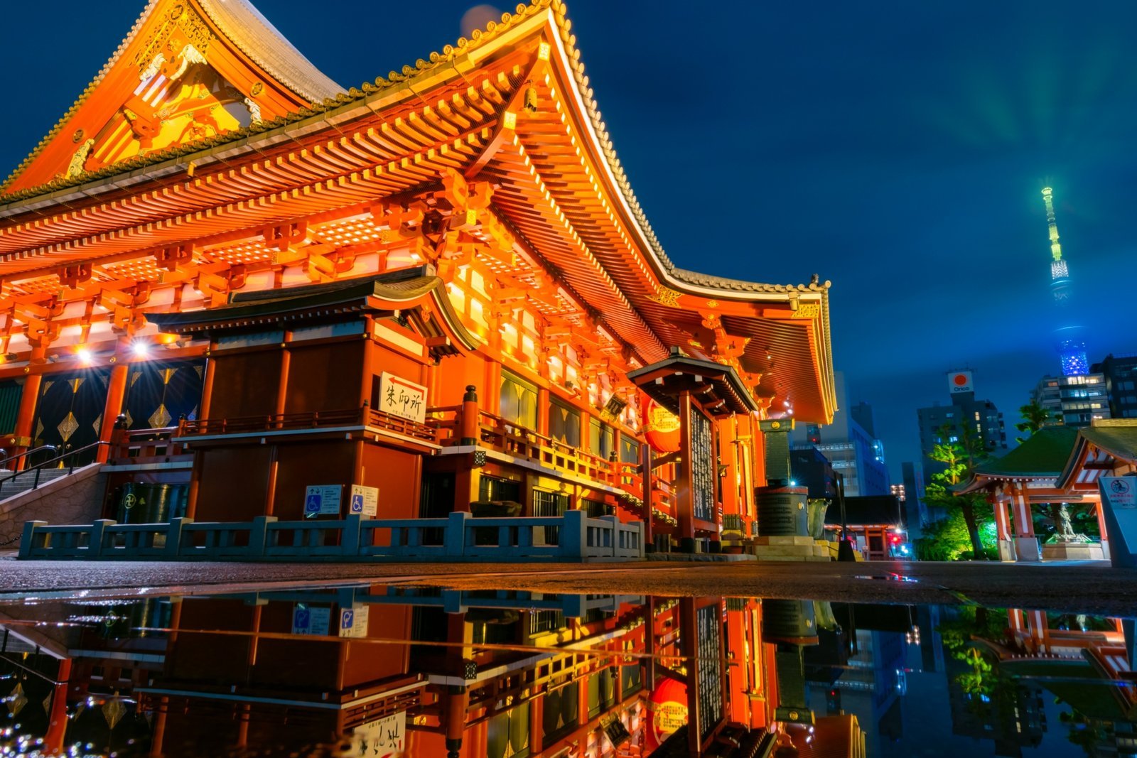 夜の浅草寺本堂と東京スカイツリー