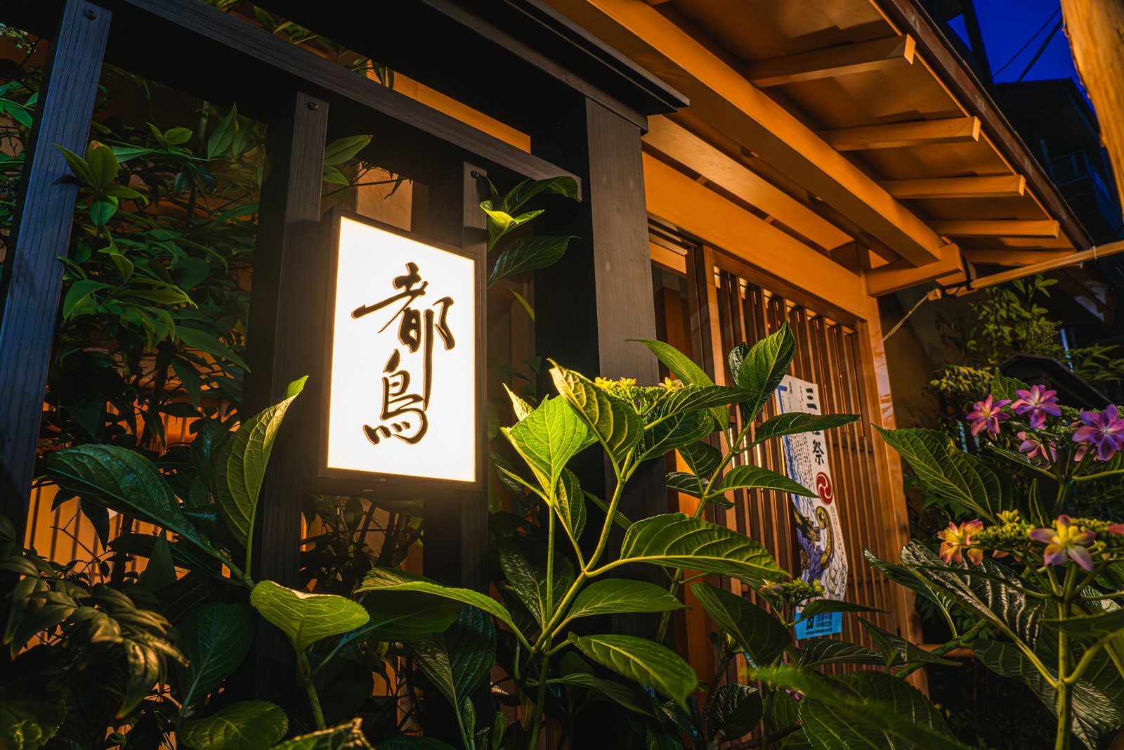 夜の浅草 都鳥の入口。灯りの入った看板と格子の店構え