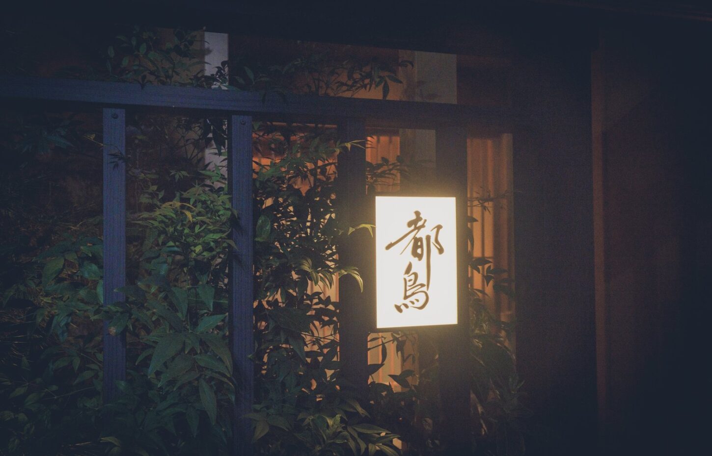 都鳥の店先(夜) - 浅草 都鳥 夜の浅草 都鳥の店先。行灯に「都鳥」の文字が灯り、格子戸と植栽が並ぶ